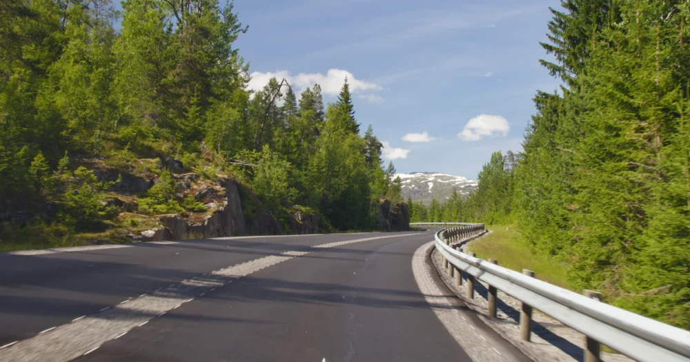 Bil kör på en väg längs en skog